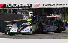 118 - Oreca 03 Nissan #11 - Murphy Prototypes