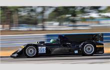 055 - HPD ARX-03b #02 - Level 5 Motorsports