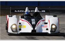 5 - Oreca FLM 09 #19 - Muscle Milk Pickett Racing