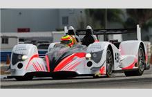 49 - Oreca 03 Nissan #08 - Pecom Racing