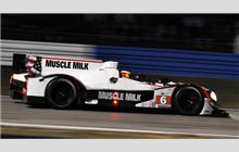 6 - HPD ARX-03a #04 - Muscle Milk Pickett Racing