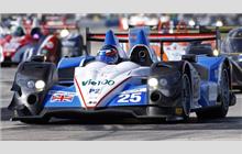 25 - Oreca 03 Nissan #10 - ADR-Delta