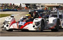 49 - Oreca 03 Nissan #08 - Pecom Racing