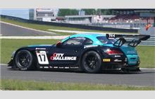 17 - BMW E89 Z4 #1017 - BMW Team Vita4one