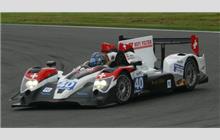 40 - Oreca 03 Judd #2 - Race Performance