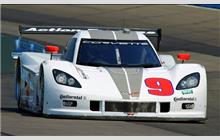9 - Chevrolet Corvette DP #CPM-GM002 (Coyote) - Action Express Racing