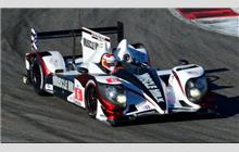 6 - HPD ARX-03c #04 - Muscle Milk Pickett Racing