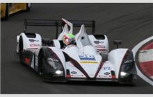 38 - Zytek Z11SN Nissan #Z11SN-09 - Jota Sport