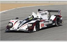 6 - HPD ARX-03a #04 - Muscle Milk Pickett Racing