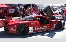 99 - Chevrolet Corvette DP #AA-001 (Riley) - GAINSCO/Bob Stallings Racing