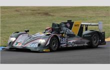 48 - Oreca 03 Nissan #11 - Murphy Prototypes