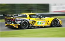 4 - Chevrolet Corvette C6 ZR1 #C6GT-006 (Pratt & Miller) - Corvette Racing