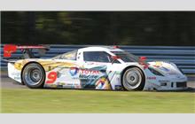 9 - Chevrolet Corvette DP #CPM-GM002 (Coyote) - Action Express Racing
