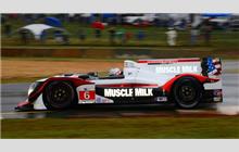 6 - HPD ARX-03c #04 - Muscle Milk Pickett Racing