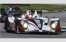 6 - HPD ARX-03c #04 - Muscle Milk Pickett Racing