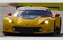 3 - Chevrolet Corvette C7.R #C7RGT-003 (Pratt & Miller) - Corvette Racing