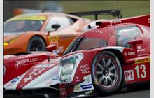 13 - Rebellion R-One Toyota (Oreca) - Rebellion Racing