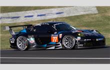 77 - Porsche 991 RSR #WP0ZZZ99ZES199914 - Dempsey Racing - Proton