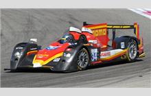 34 - Oreca 03 Judd #2 - Race Performance