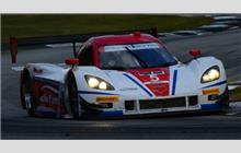 5 - Chevrolet Corvette DP #CPM-GM008 (Coyote) - Action Express Racing