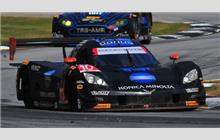 10 - Chevrolet Corvette DP #DP01-003 (Dallara) - Konica Minolta Chevrolet Corvette Dallara for Wayne Taylor Racing