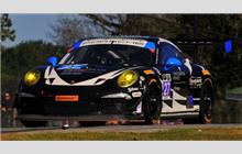 27 - Porsche 991 GT America #WP0ZZZ99ZES198089 - Dempsey Racing