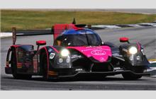 42 - Ligier JS P2 Honda #OR02-03 (Onroak) - OAK Racing