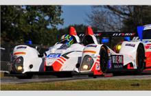 54 - Oreca FLM 09 #12 - Core Autosport