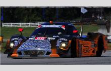 60 - Riley Mk XXVI Ford #AA-003 - Michael Shank Racing with Curb/Agajanian