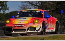73 - Porsche 991 GT America #WP0ZZZ99ZES198086 - Park Place Motorsports