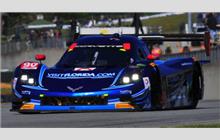 90 - Chevrolet Corvette DP #CPM-GM007 (Coyote) - visitflorida.com Racing