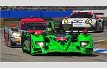 2 - HPD ARX-03b #06 - Extreme Speed Motorsports