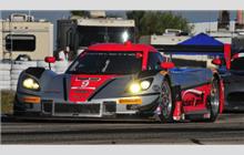 9 - Chevrolet Corvette DP #CPM-GM002 (Coyote) - Action Express Racing