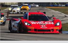 31 - Chevrolet Corvette DP #CC09-01 (Coyote) - Marsh Racing