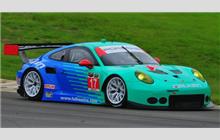 17 - Porsche 991 RSR #WP0ZZZ99ZES199912 - Team Falken Tire