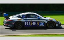 44 - Porsche 991 GT America #WP0ZZZ99ZES198082 - Magnus Racing
