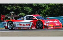 31 - Chevrolet Corvette DP #CC09-006 (Coyote) - Marsh Racing