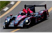 42 - Morgan LM P2 Nissan #01-18 (OAK-Pescarolo) - OAK Racing