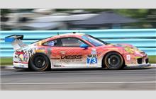 73 - Porsche 991 GT America #WP0ZZZ99ZES198086 - Park Place Motorsports