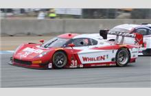 31 - Chevrolet Corvette DP #CPM-GM003 (Coyote) - Action Express Racing, Coyote DP