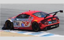 45 - Audi R8 LMS #AS42A0FGT314 0601 - Flying Lizard Motorsports