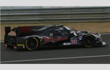 30 - Ligier JS P2 HPD #OR02-08 (Onroak) - Extreme Speed Motorsports