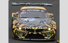 17 - BMW Z4 GT3 - Walkenhorst Motorsport