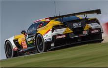 50 - Chevrolet Corvette C7.R #C7RGT-002 (Pratt & Miller) - Larbre Competition