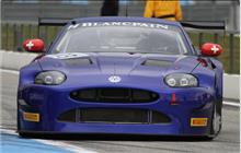 73 - Jaguar XK-R Emil Frey G3 (Emil Frey) - Emil Frey Racing