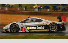 5 - Chevrolet Corvette DP #CPM-GM009 (Coyote) - Action Express Racing, Coyote DP
