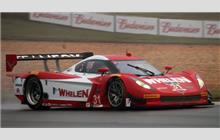 31 - Chevrolet Corvette DP #CPM-GM003 (Coyote) - Action Express Racing, Coyote DP