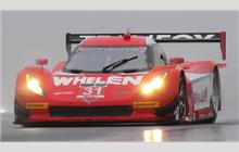 31 - Chevrolet Corvette DP #CPM-GM003 (Coyote) - Action Express Racing, Coyote DP