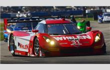 31 - Chevrolet Corvette DP #CPM-GM003 (Coyote) - Action Express Racing