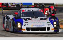 50 - Riley Mk XXVI BMW #017-206C=>AA-011 - Fifty Plus Racing